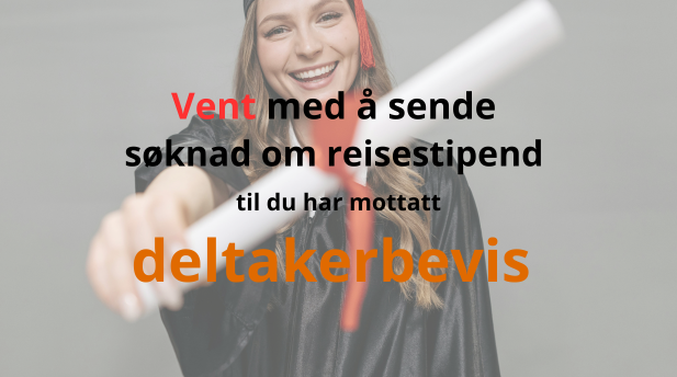 Deltagelsesbeiv (3)