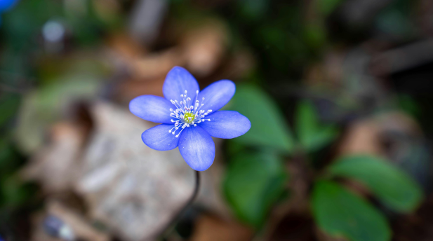 Design uten navn - 2026-03-02T114728.045