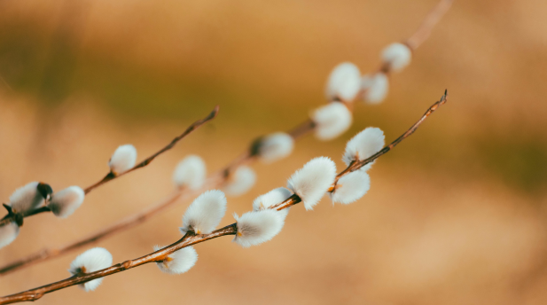 Design uten navn - 2026-03-27T115710.217