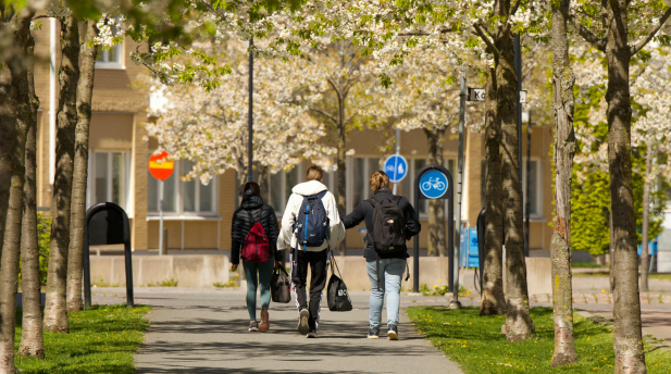 Design uten navn - 2026-04-09T100838.053